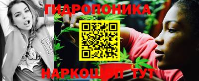 гашик Гусь-Хрустальный