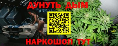 индика Гусиноозёрск